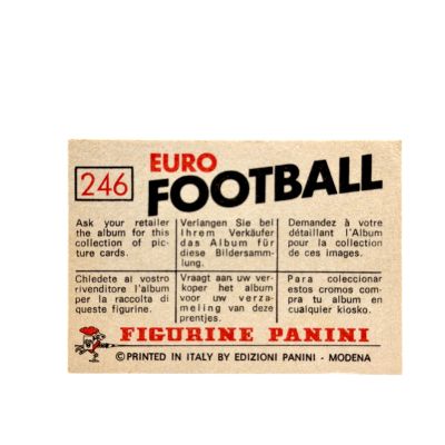 Dunarea Galati Echipa 1976-77 Panini Euro Football #246