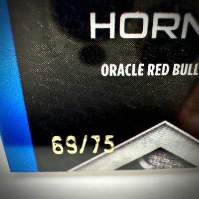 Christian Horner 2024 Topps Finest Formula 1 - F1 RELIC Blue 69/75 #F1R-HOR Red Bull